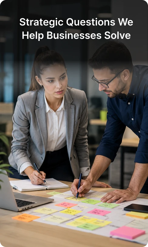Our Expertise